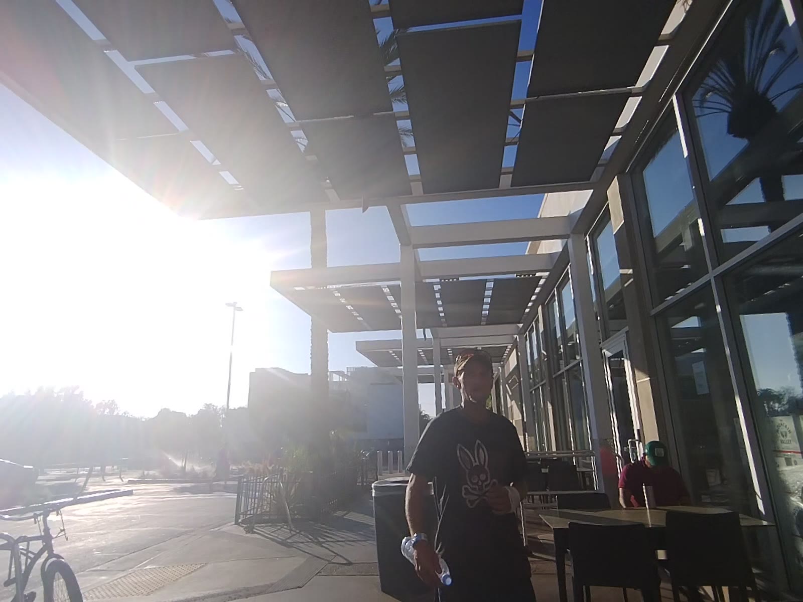 Walking Through the Sunlit Plaza