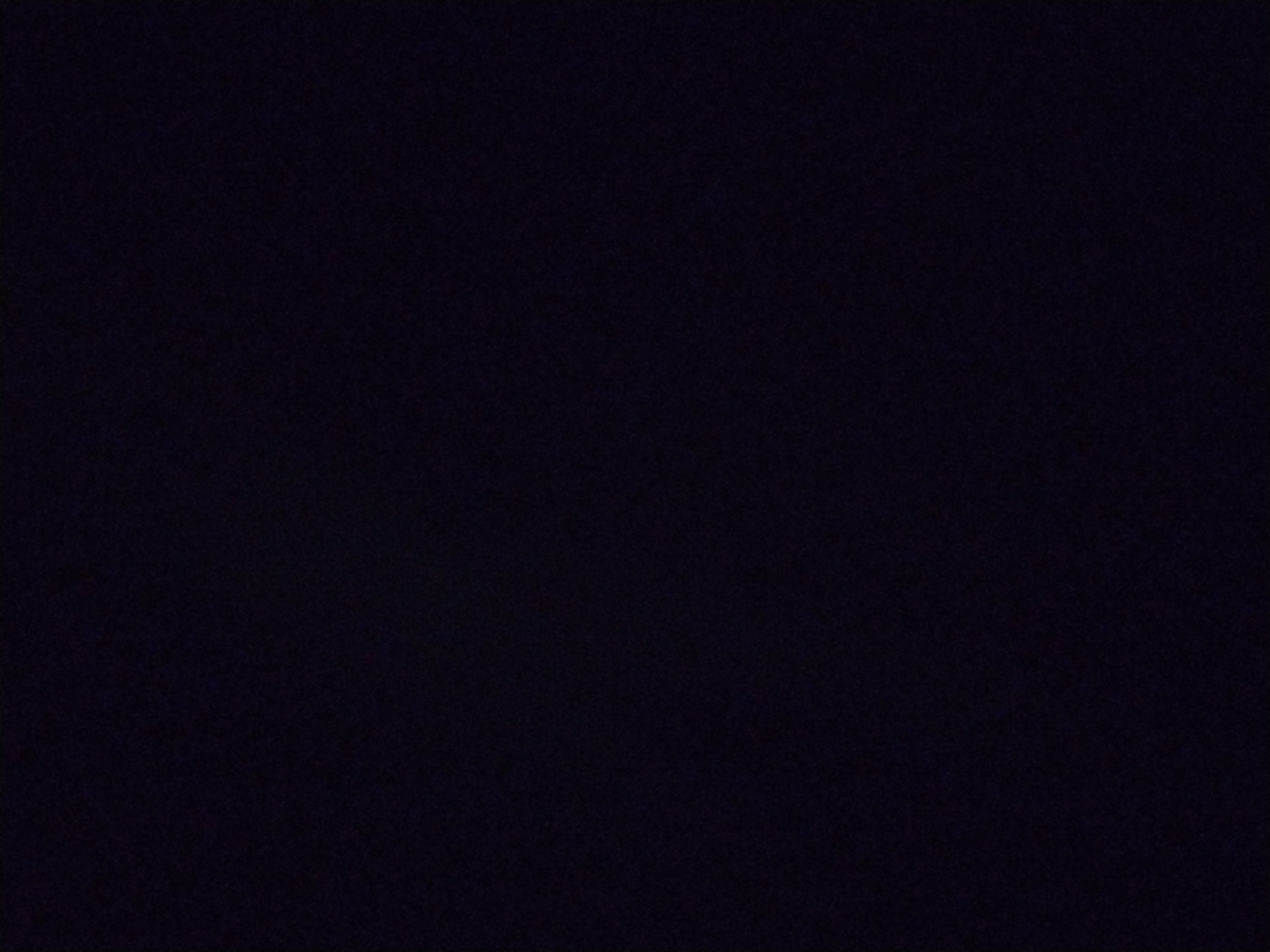 Looki L1 photo