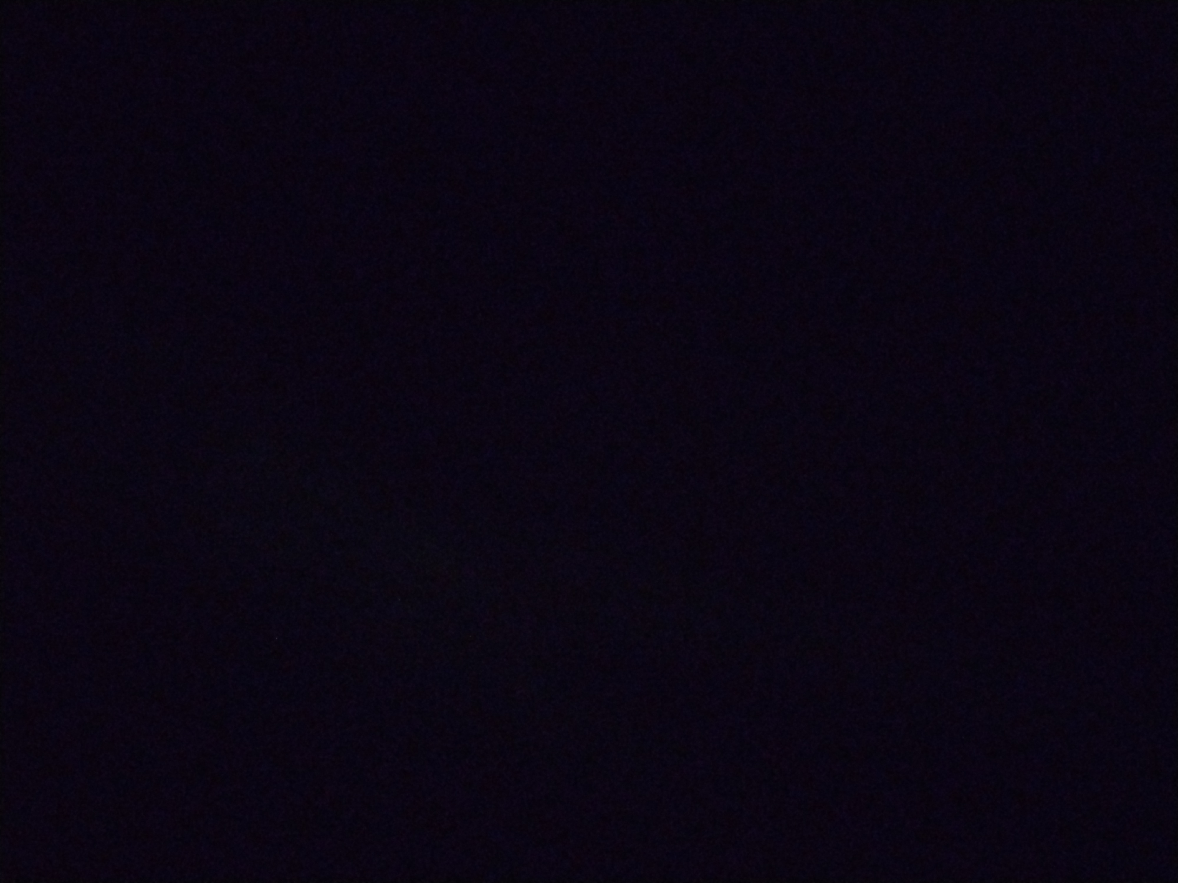 Looki L1 photo