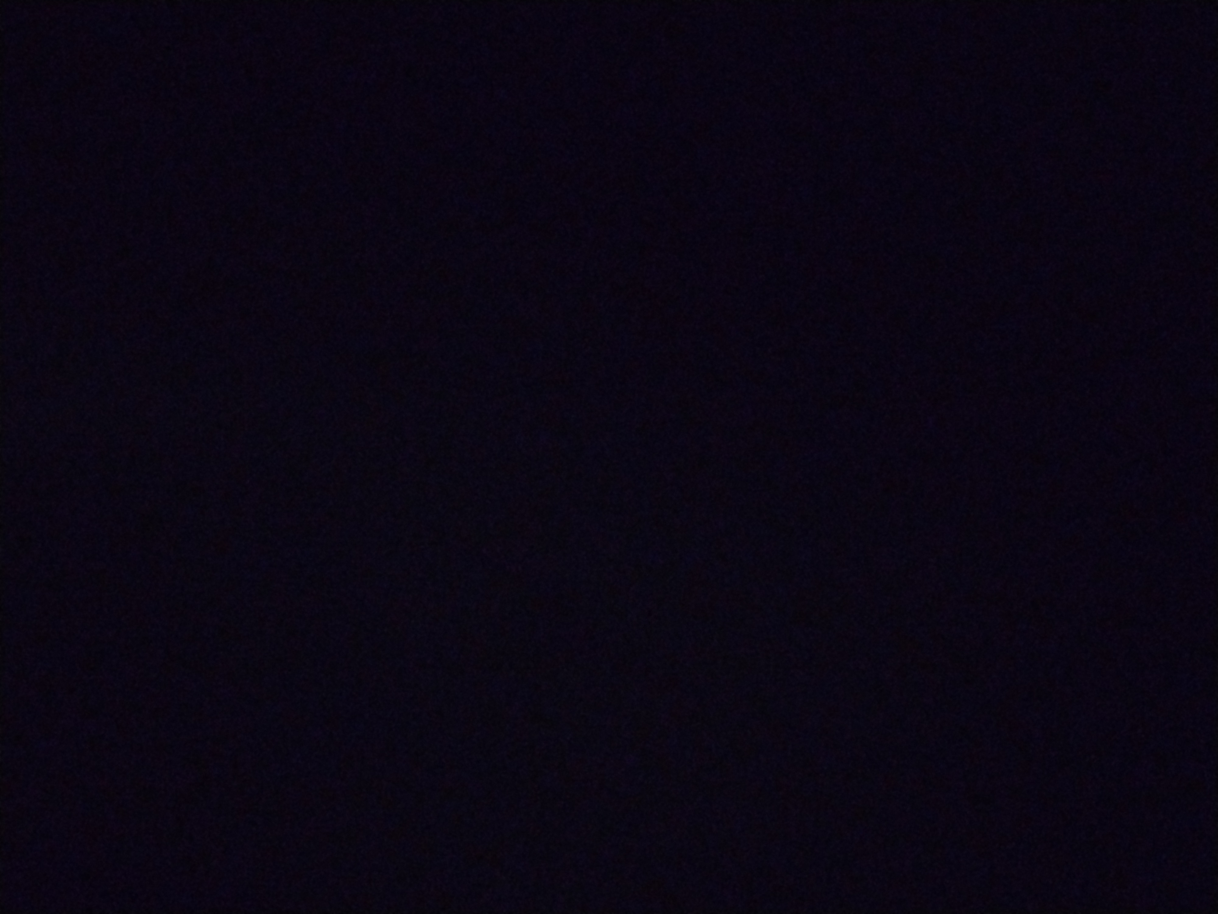 Looki L1 photo