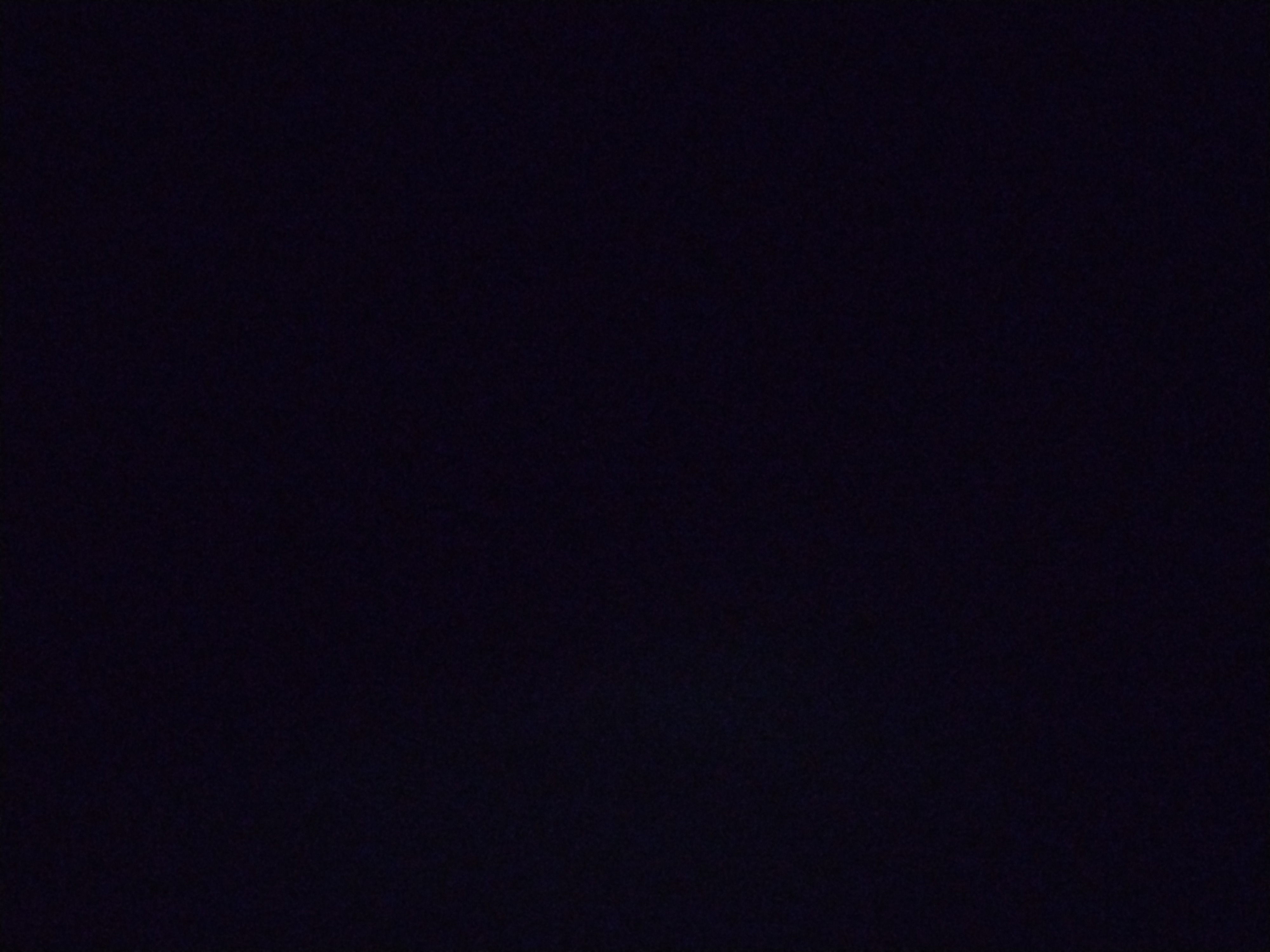 Looki L1 photo