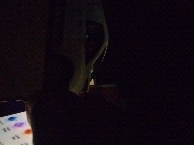 Looki L1 photo