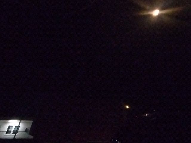 A Brief Gaze at the Midnight Moon