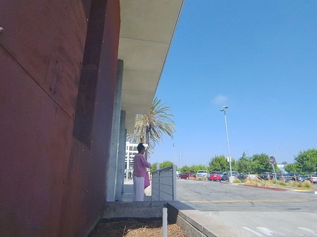 Looki L1 photo