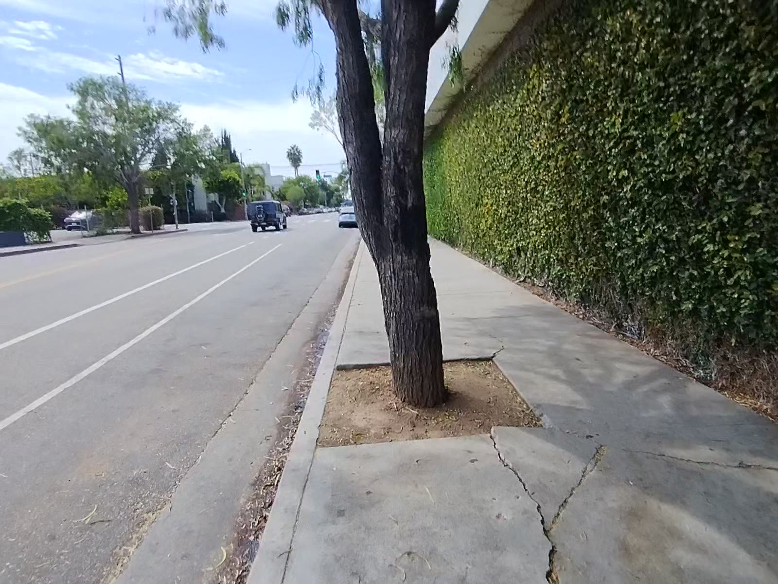 Late Afternoon Walk Past Lincoln Boulevard