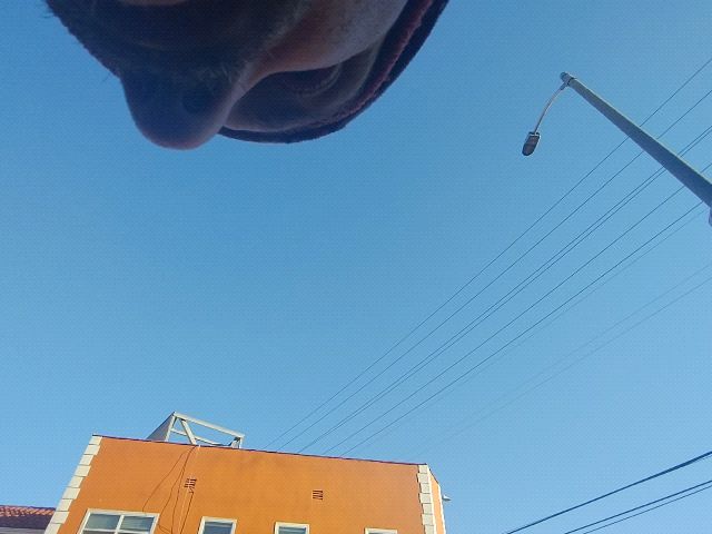 Looki L1 photo