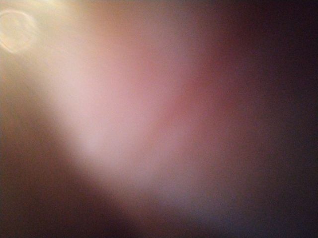 Looki L1 photo