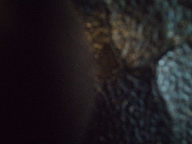 Looki L1 photo