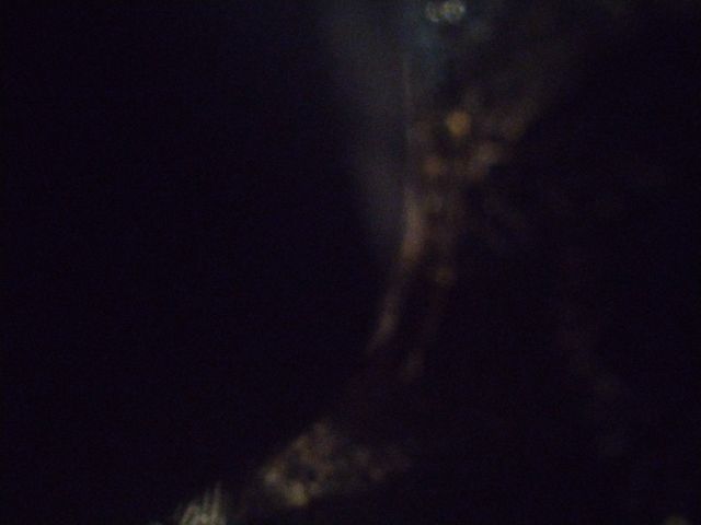 Looki L1 photo