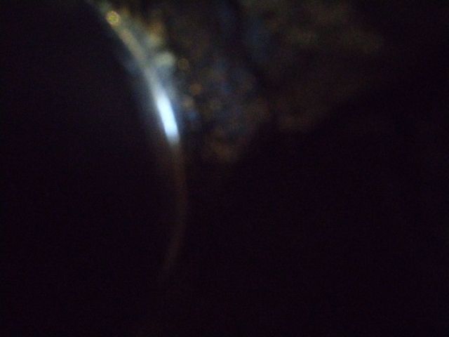 Looki L1 photo
