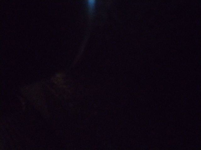 Looki L1 photo