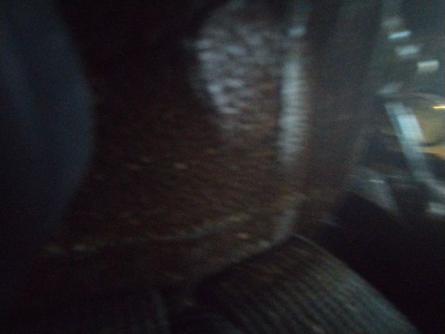 Looki L1 photo