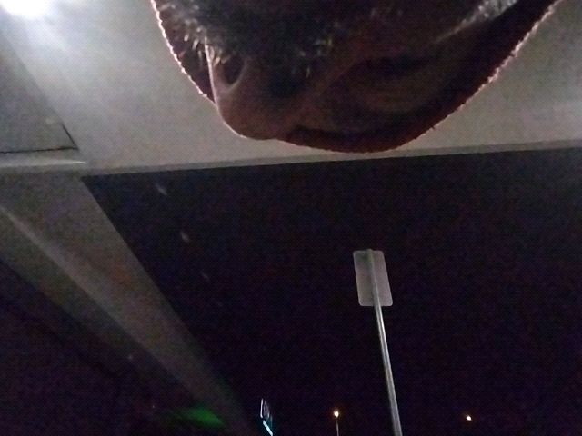 Late Night Stroll Under the Stars