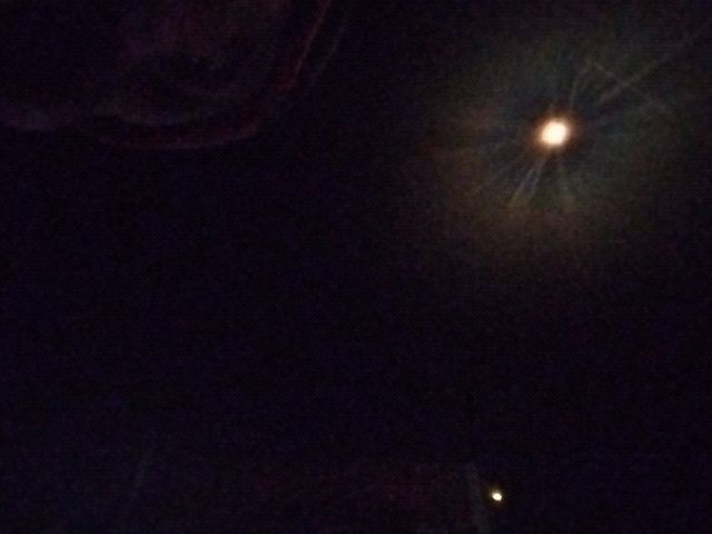 Looki L1 photo