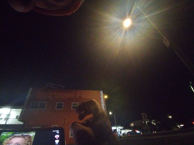 Looki L1 photo