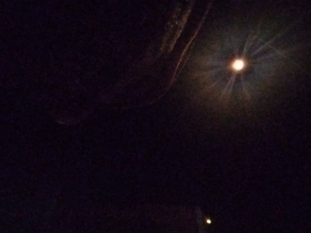 Looki L1 photo