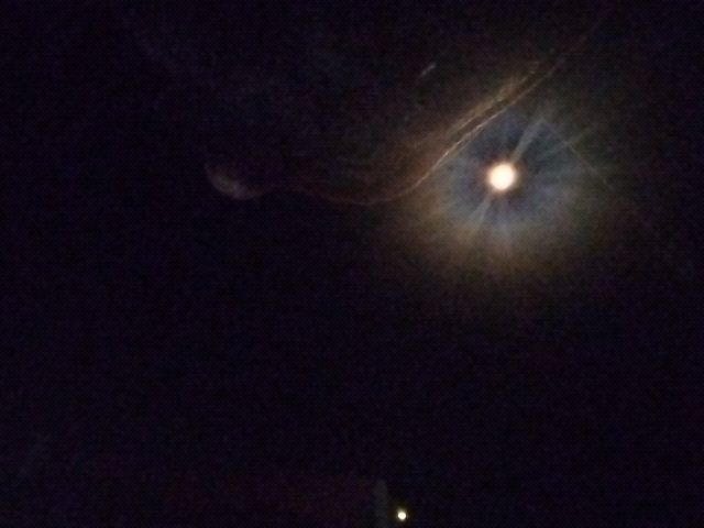 Looki L1 photo