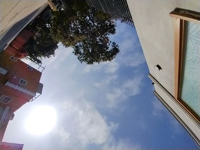 Looki L1 photo