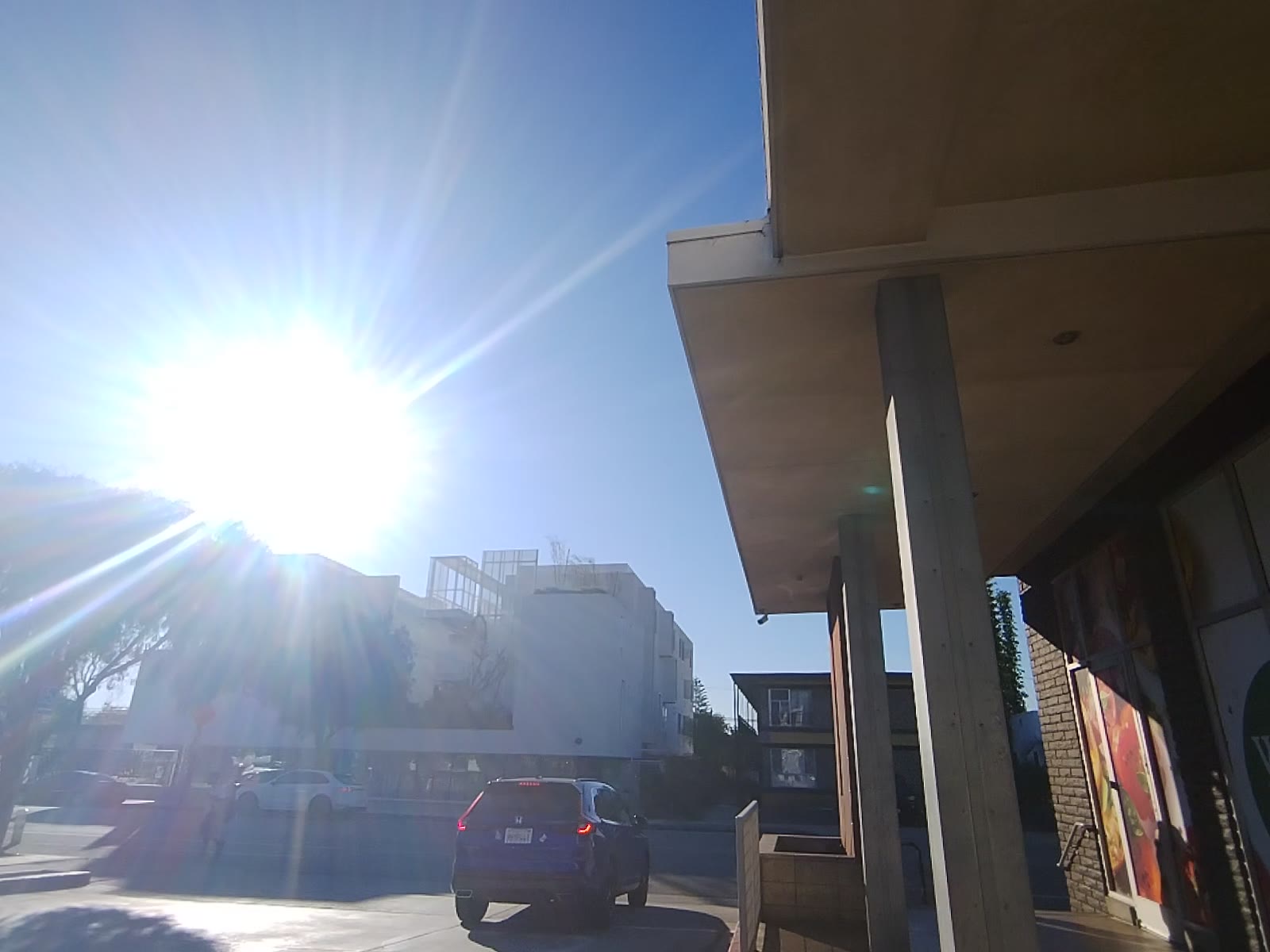 Brief Stroll in the Sunlight