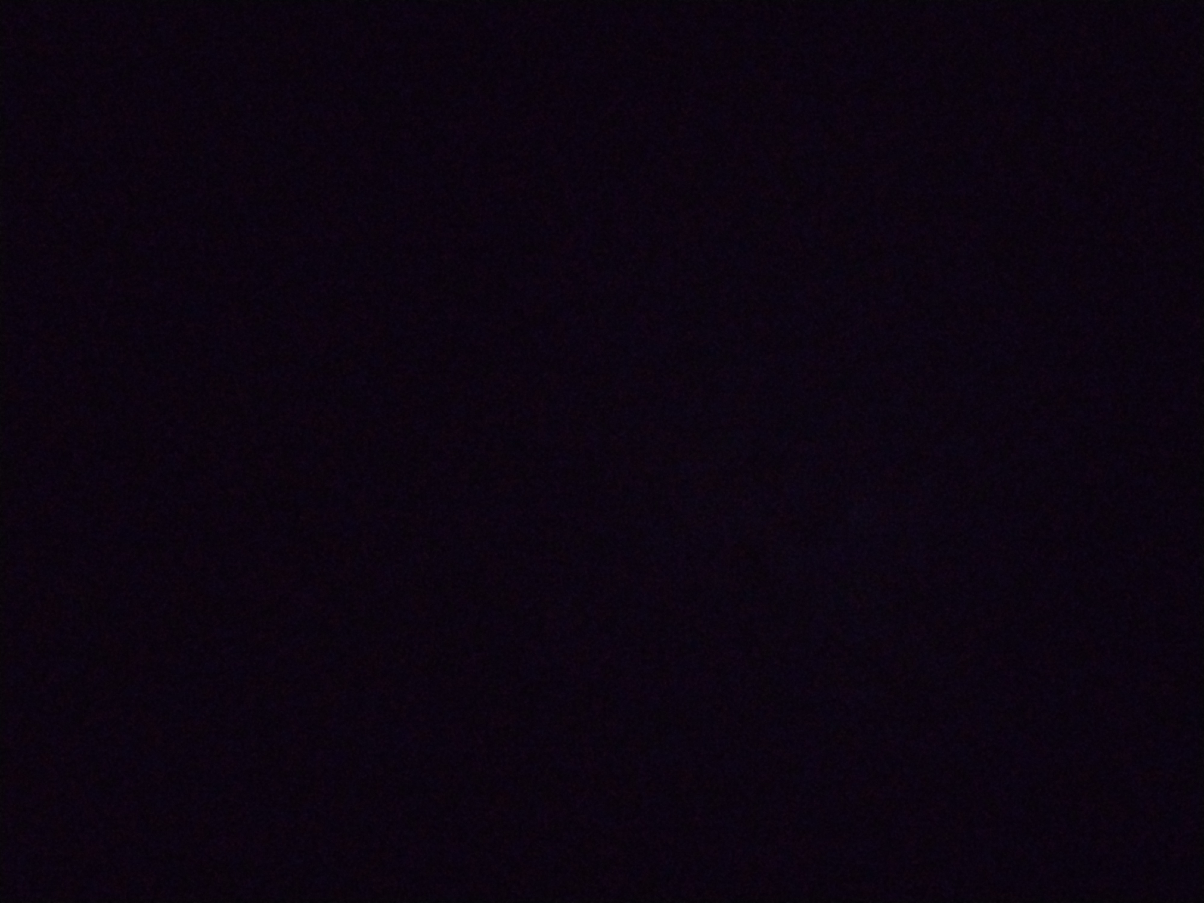 Looki L1 photo