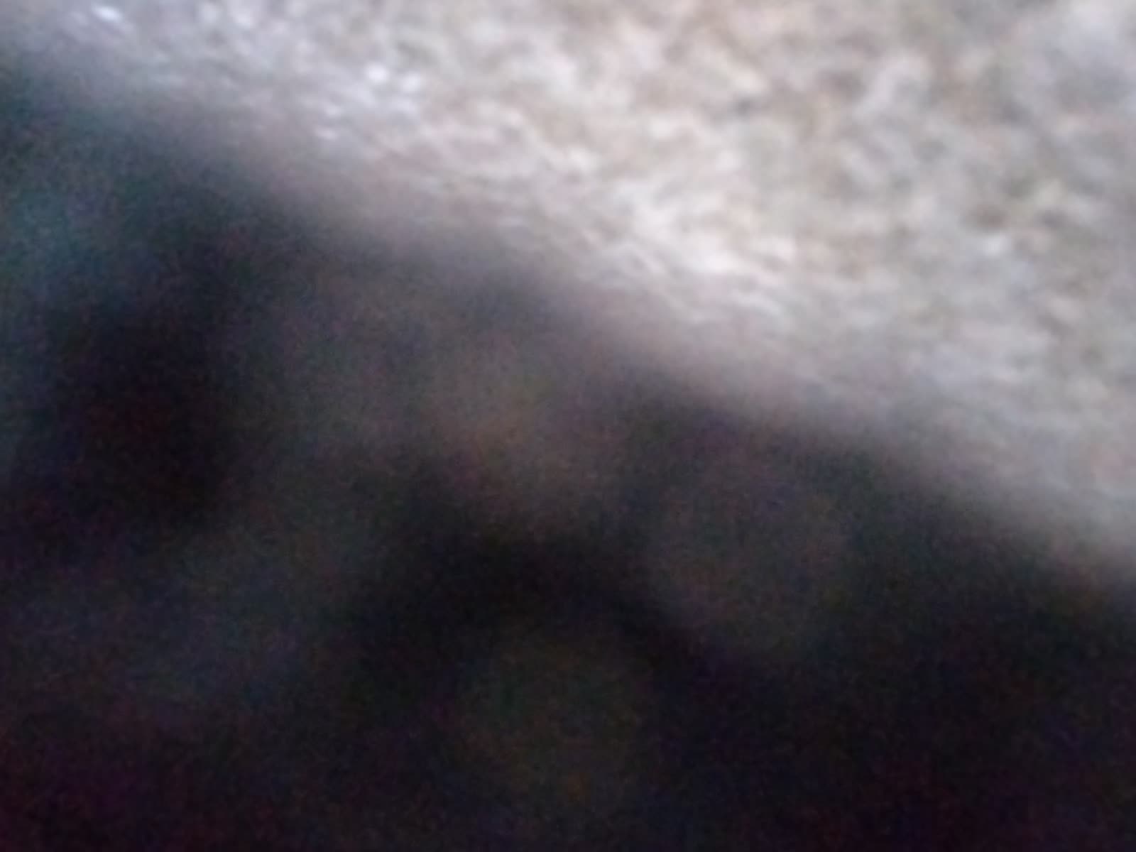 Looki L1 photo