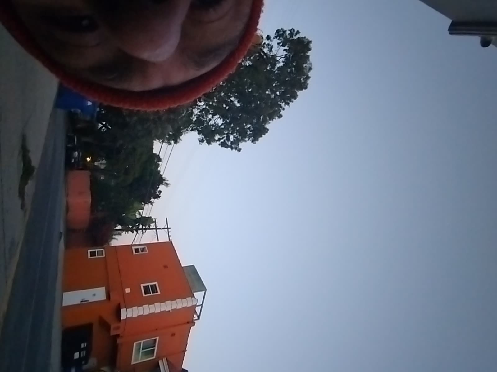 Looki L1 photo
