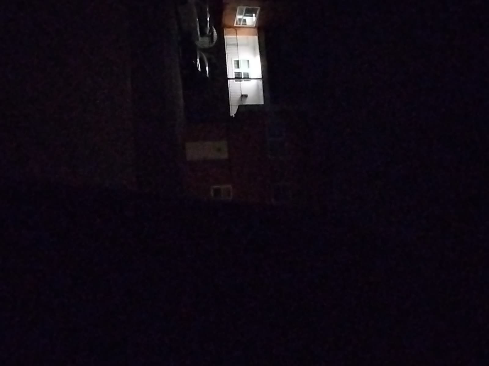 Looki L1 photo
