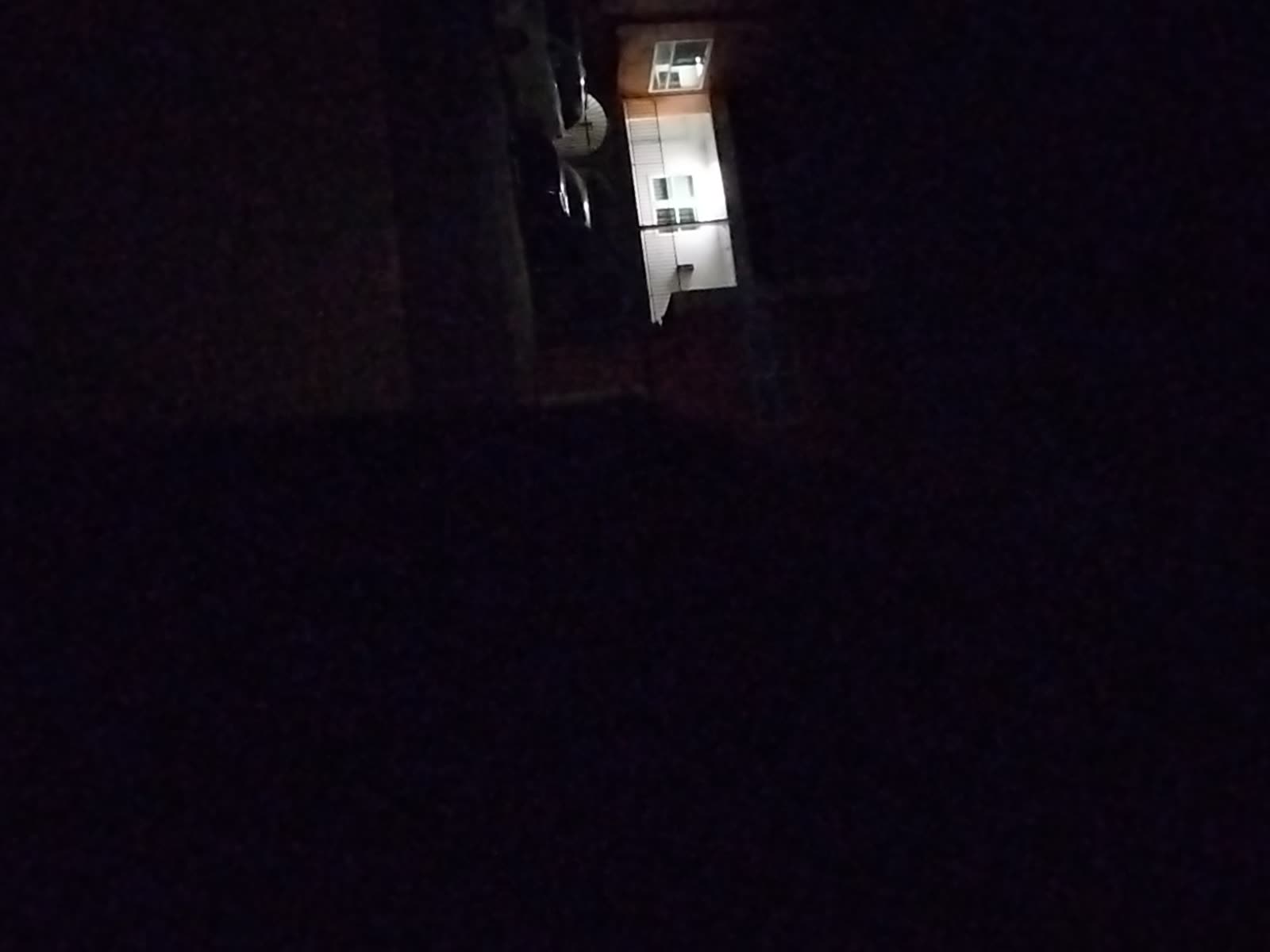 Looki L1 photo