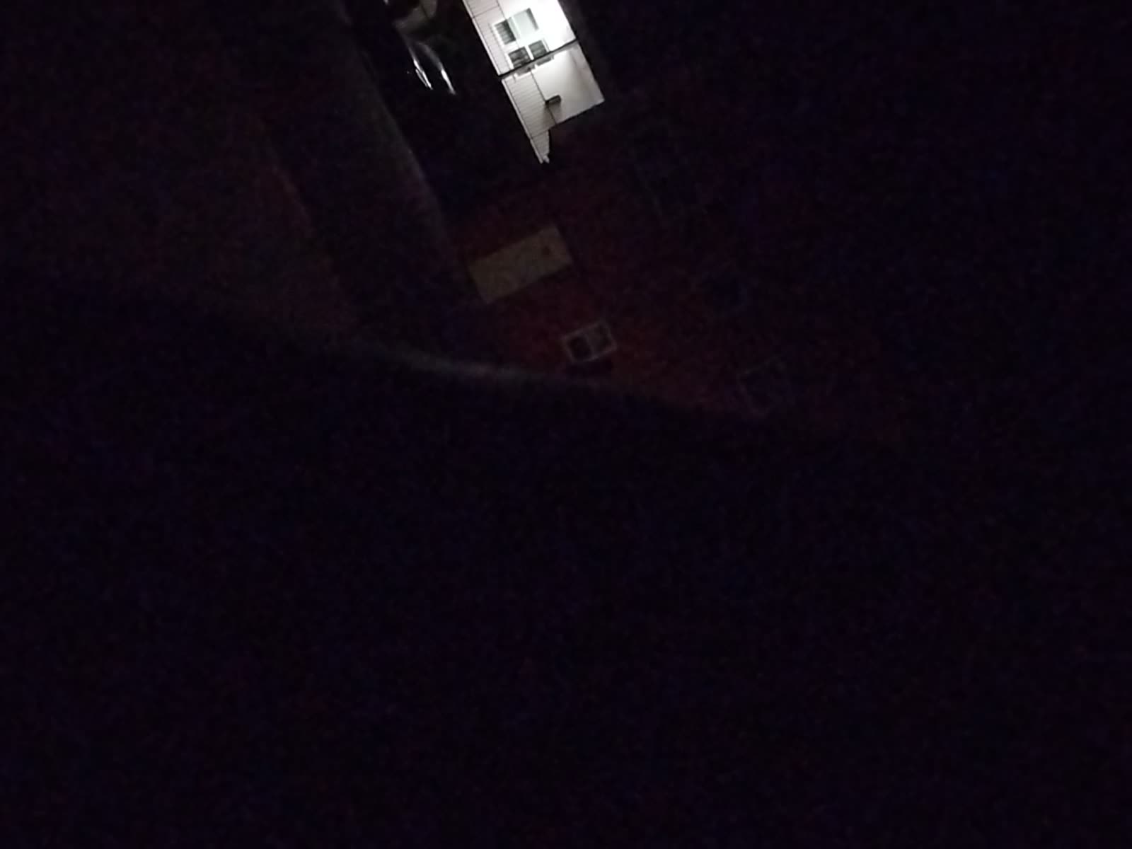 Looki L1 photo
