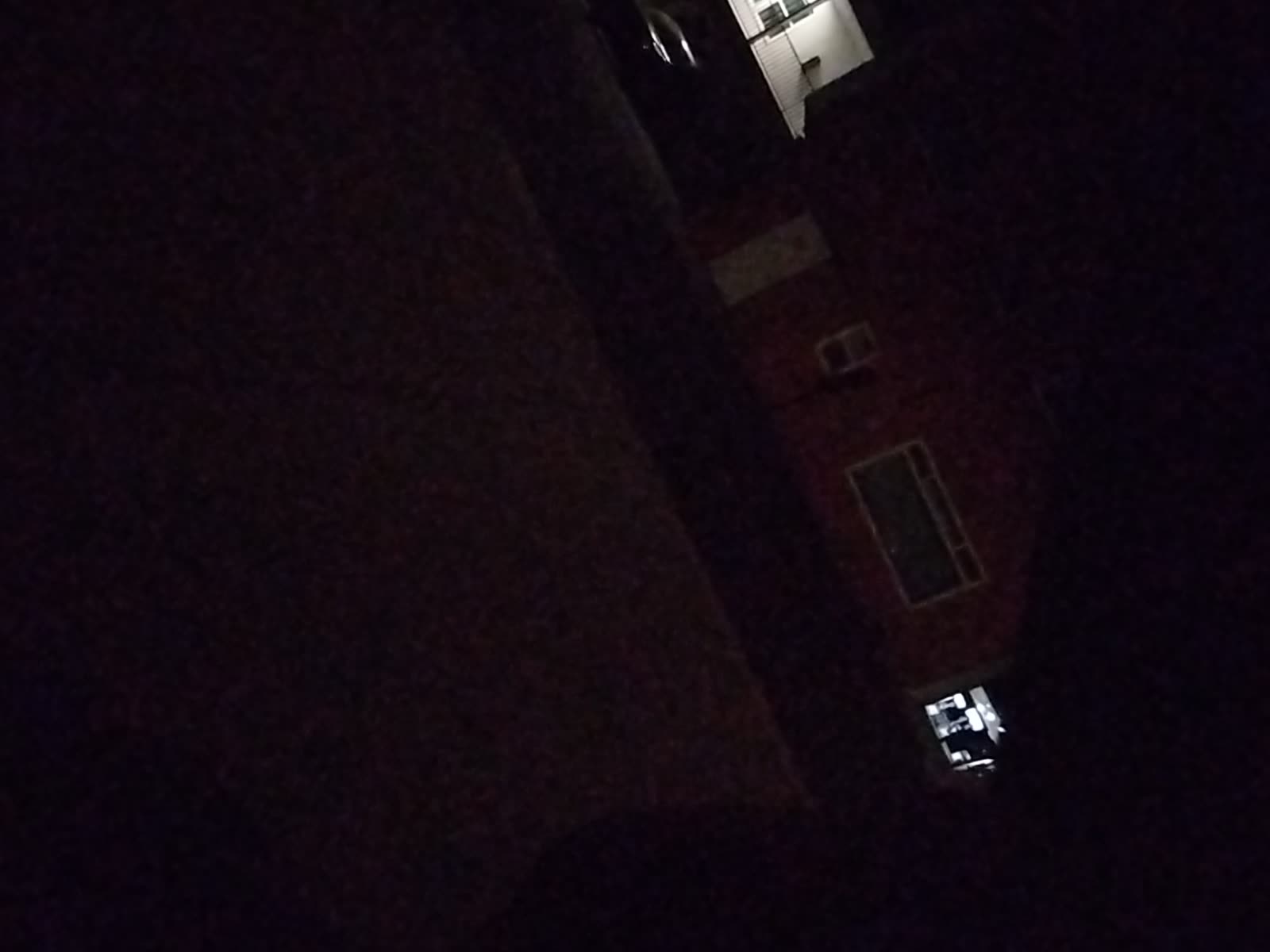 Looki L1 photo