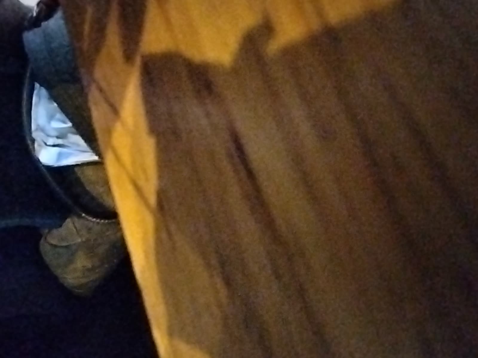 Looki L1 photo