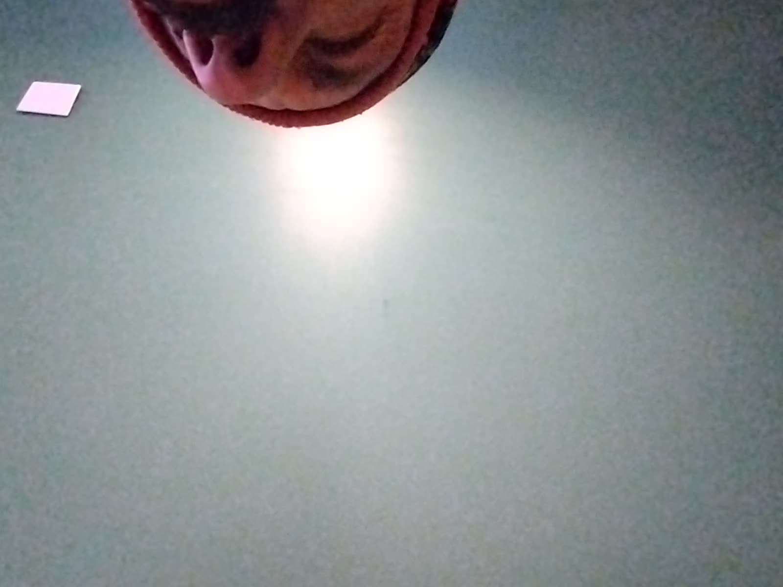 Looki L1 photo