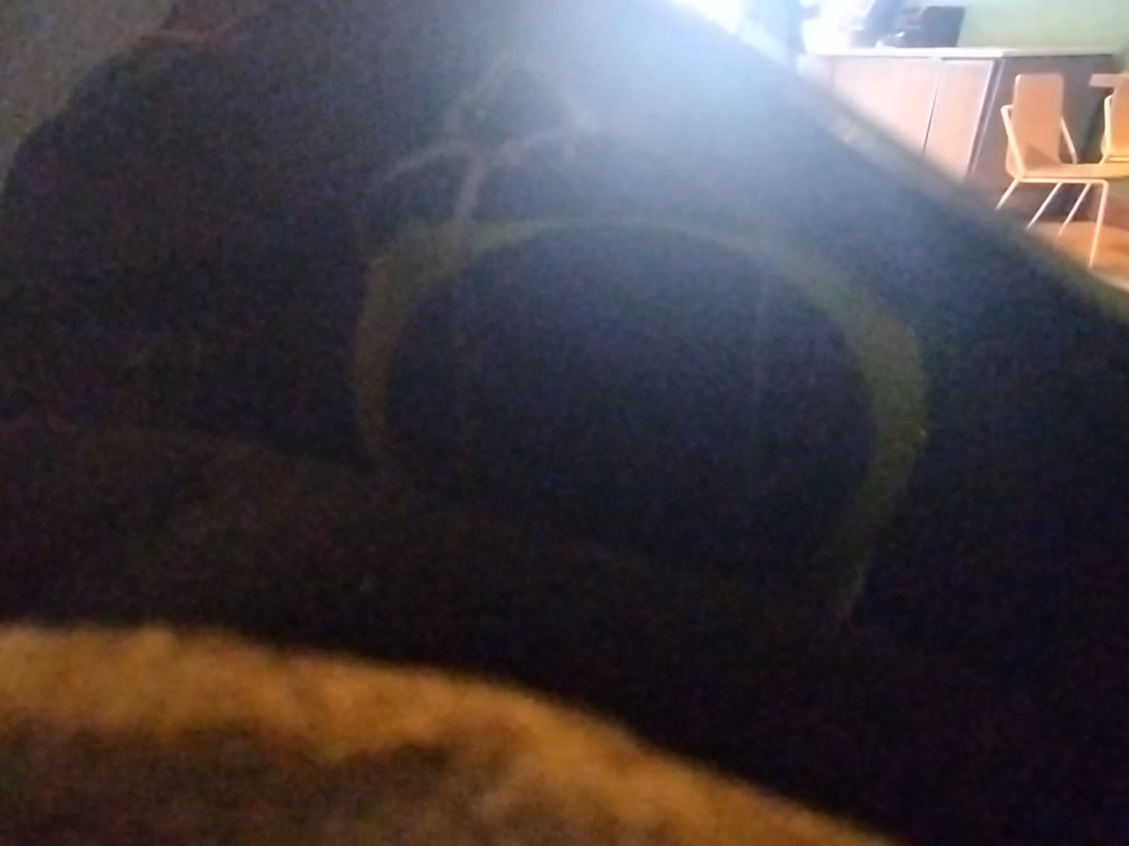 Looki L1 photo