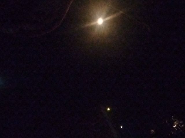 Looki L1 photo
