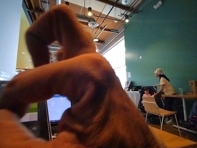 Looki L1 photo